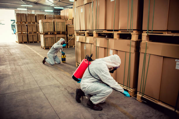 Best Bed Bug Extermination  in Heathrow, FL
