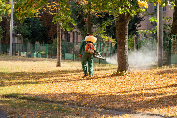 Best Spider Control Near Me  in Heathrow, FL